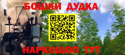 эйфоретик Дубна