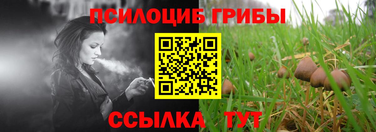 где купить наркоту  Псилоцибиновые грибы Magic Shrooms  Вход с VPN  Одинцово 